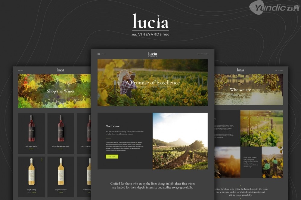 Lucia – Wine WordPress主题