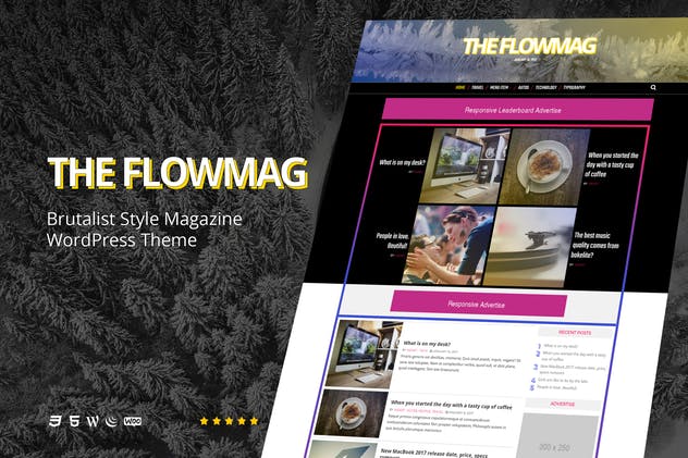 FlowMag-野兽派WordPress杂志主题
