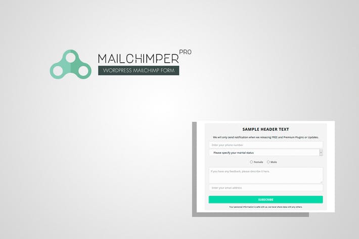 MailChimper PRO-WordPress MailChimp注册表格