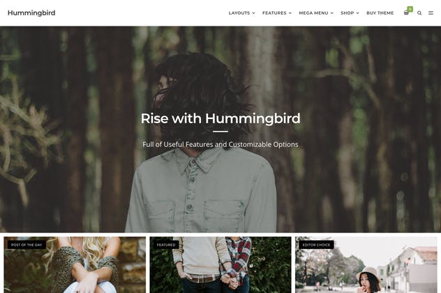 Hummingbird-终极博客主题