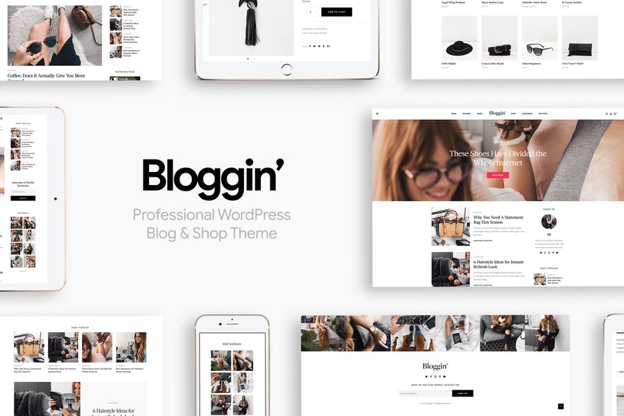 Blggn-响应式博客和商店WordPress主题