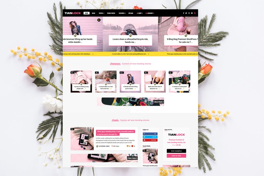 TianLock-限制Content Pro /会员主题