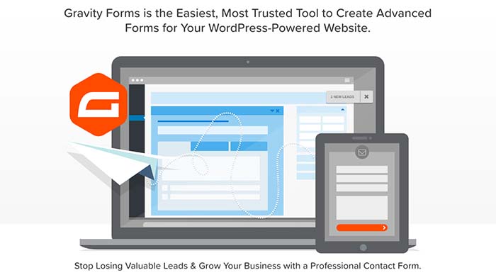 Gravity Forms v2.4.17.11 – WordPress表单插件