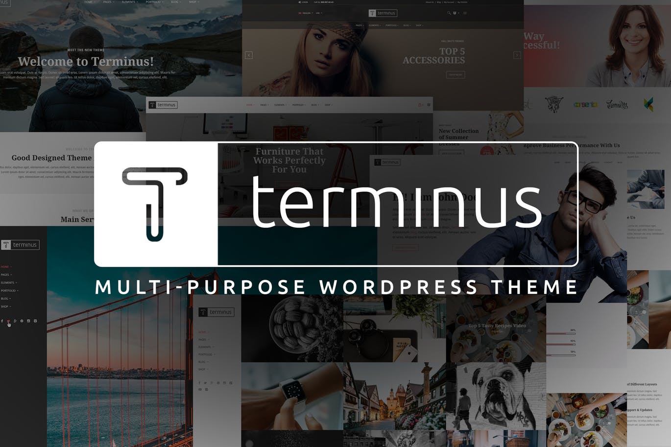 Terminus-多功能WordPress主题
