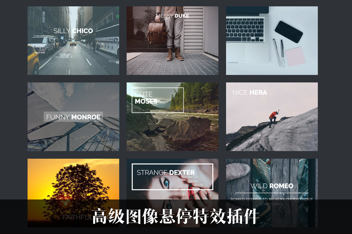 Marvelous Hover Effects | 用于可视化编辑器的图片悬停特效插件