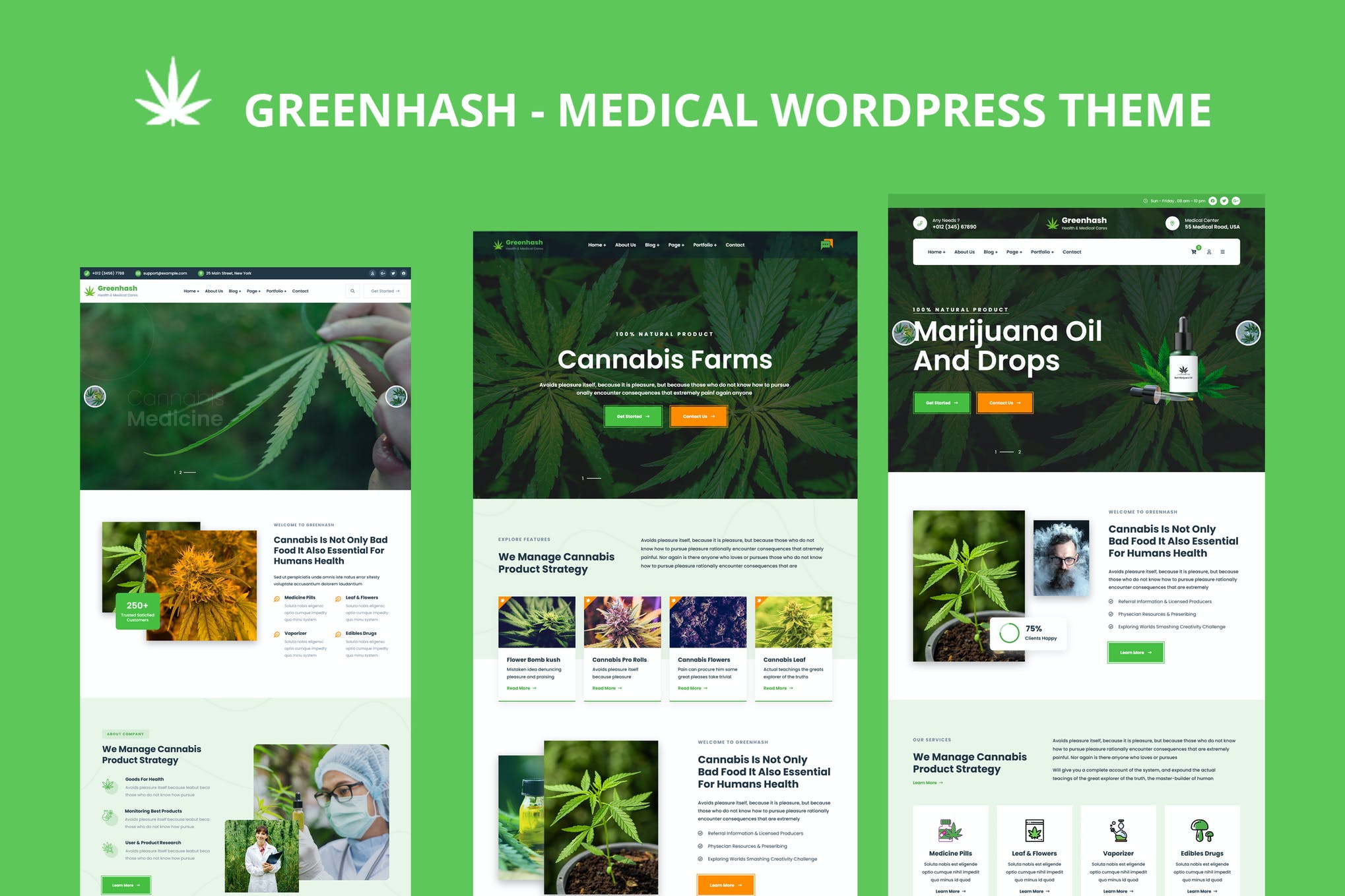 Greenhash-医疗WordPress主题