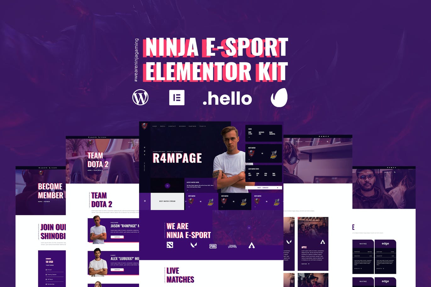 Ninja -电竞和游戏Elementor Template Kit