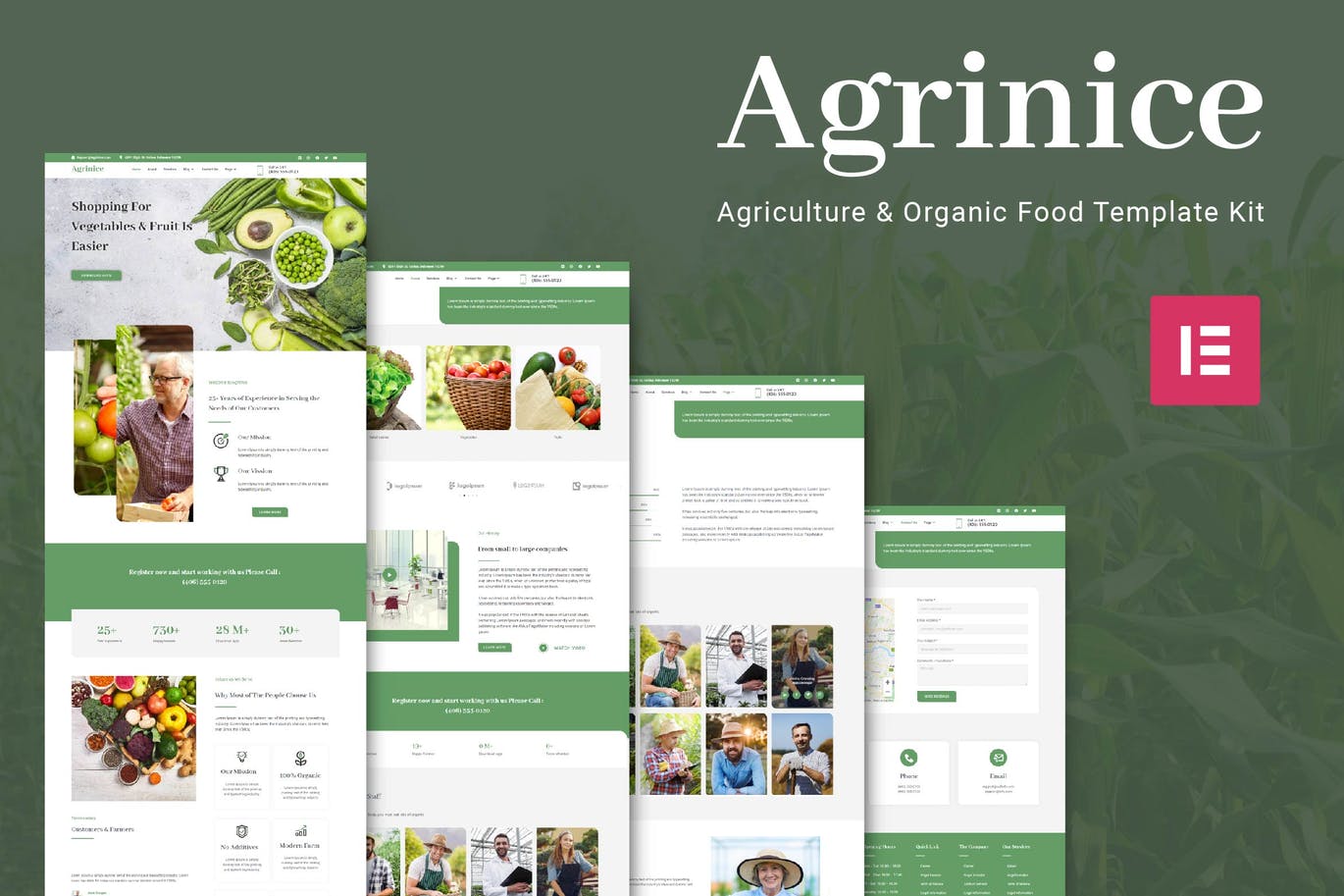 Agrinice – 农业和有机食品模板工具包