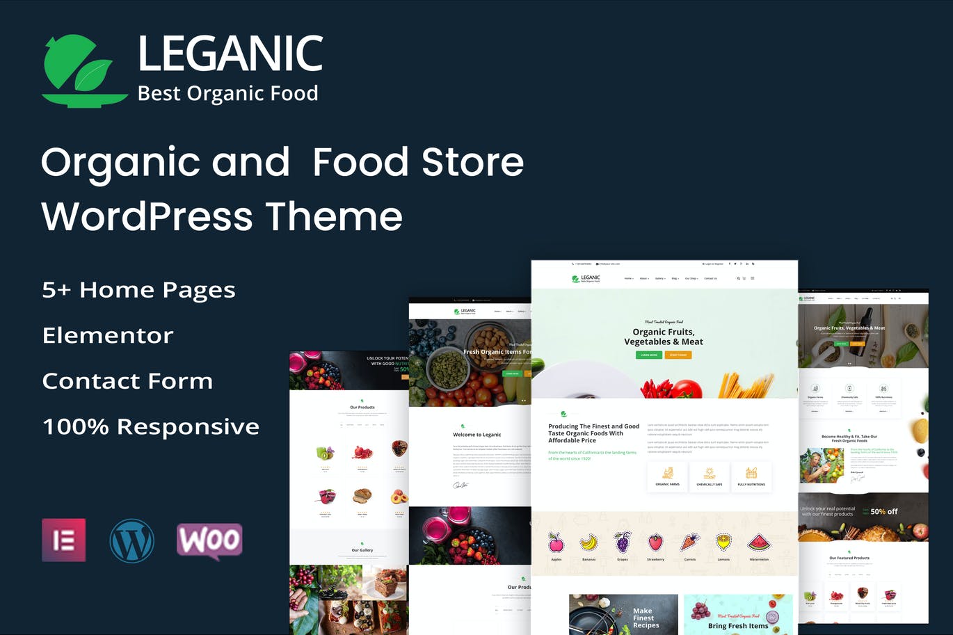 Leganic – 有机食品商店WordPress主题