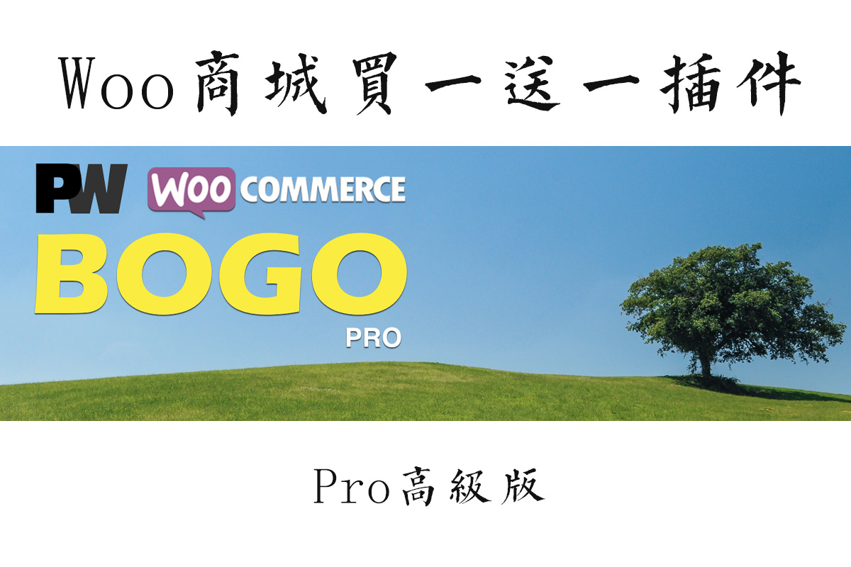 PW WooCommerce BOGO Pro v2.149  商城买一送一插件