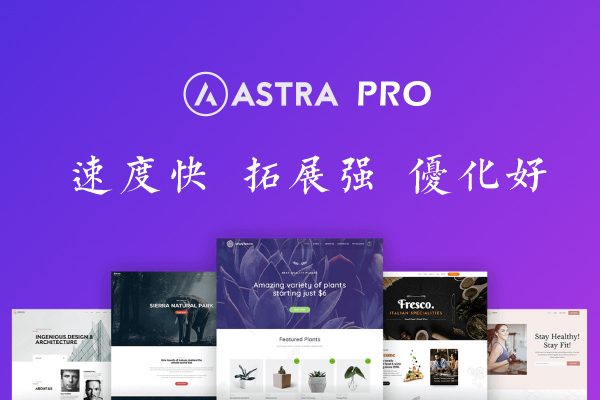 Astra Pro v3.7.6 – 一款SEO好,速度快,拓展强,热门的WordPress主题(云典)