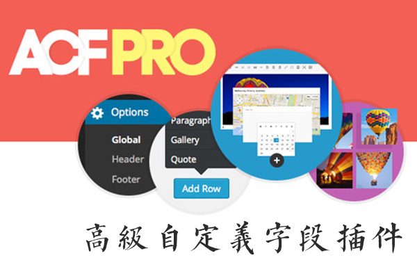 Advanced Custom Fields Pro v5.11.4 – 高级WordPress自定义字段插件