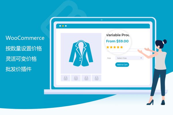 不同数量不同价格批发价插件Woocommerce Variation Prices v1.0.9