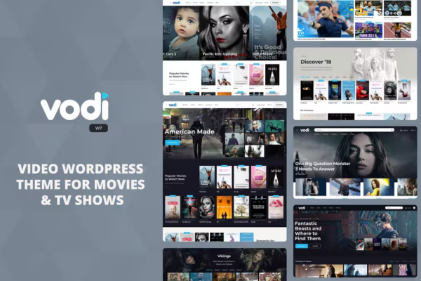 Vodi – 电影和电视节目的视频 WordPress 主题