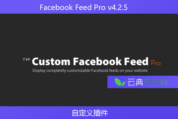 Facebook Feed Pro v4.2.5 – 自定义插件