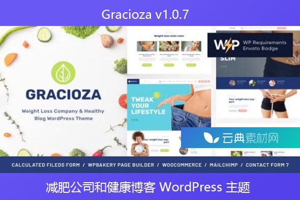 Gracioza v1.0.7 – 减肥公司和健康博客 WordPress 主题