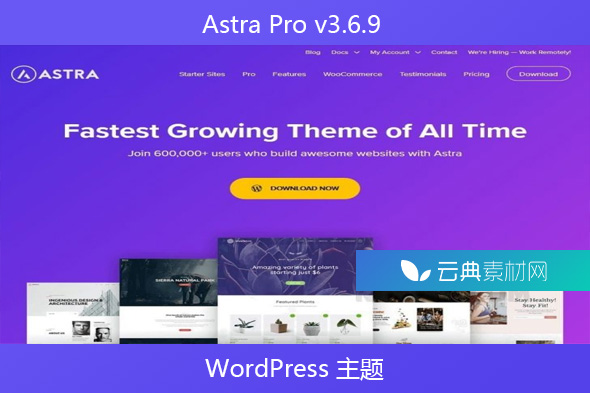 Astra Pro v3.6.9 – WordPress 主题