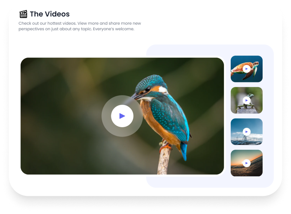 1654666978-d6709695d2c6917 1654666978-d6709695d2c6917