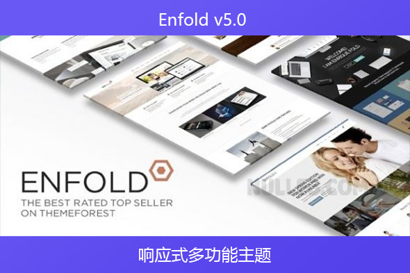 Enfold v5.2 – 响应式多功能主题
