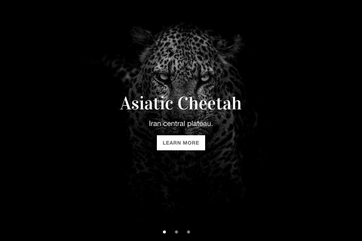 1655703399-4c8d7454f496762 1655703399-4c8d7454f496762