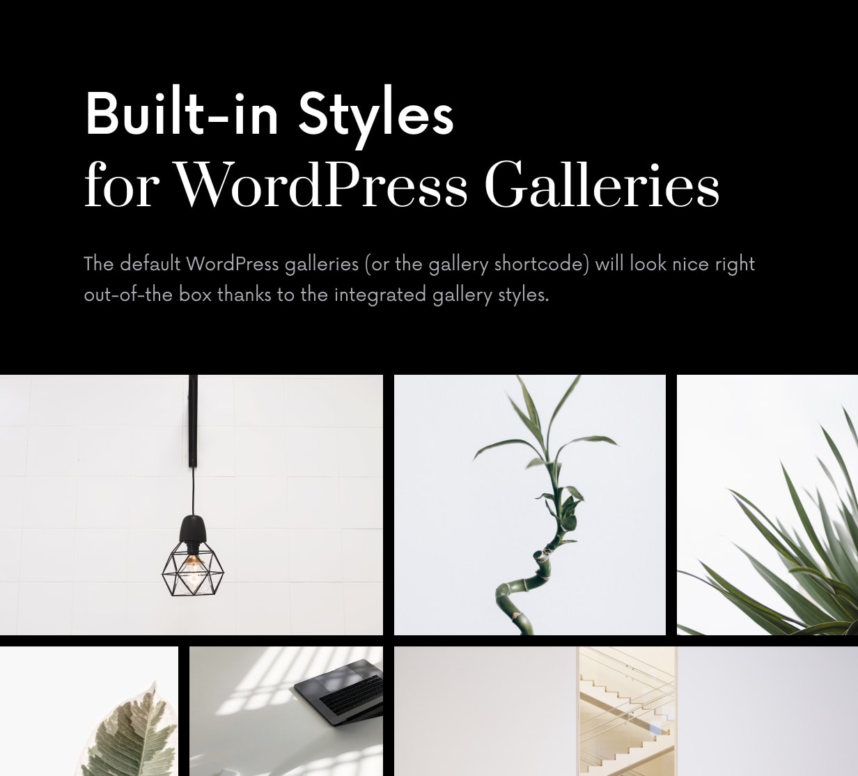 1657526181-d79e0ec460b0247