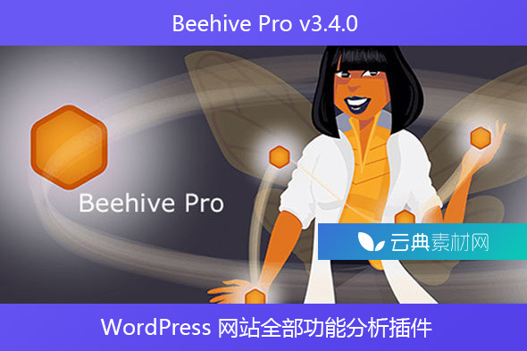 Beehive Pro v3.4.0 – WordPress 网站全部功能分析插件