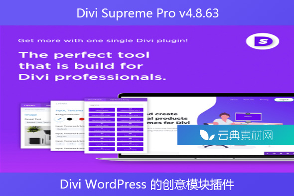 Divi Supreme Pro v4.8.63 – Divi WordPress 的创意模块插件