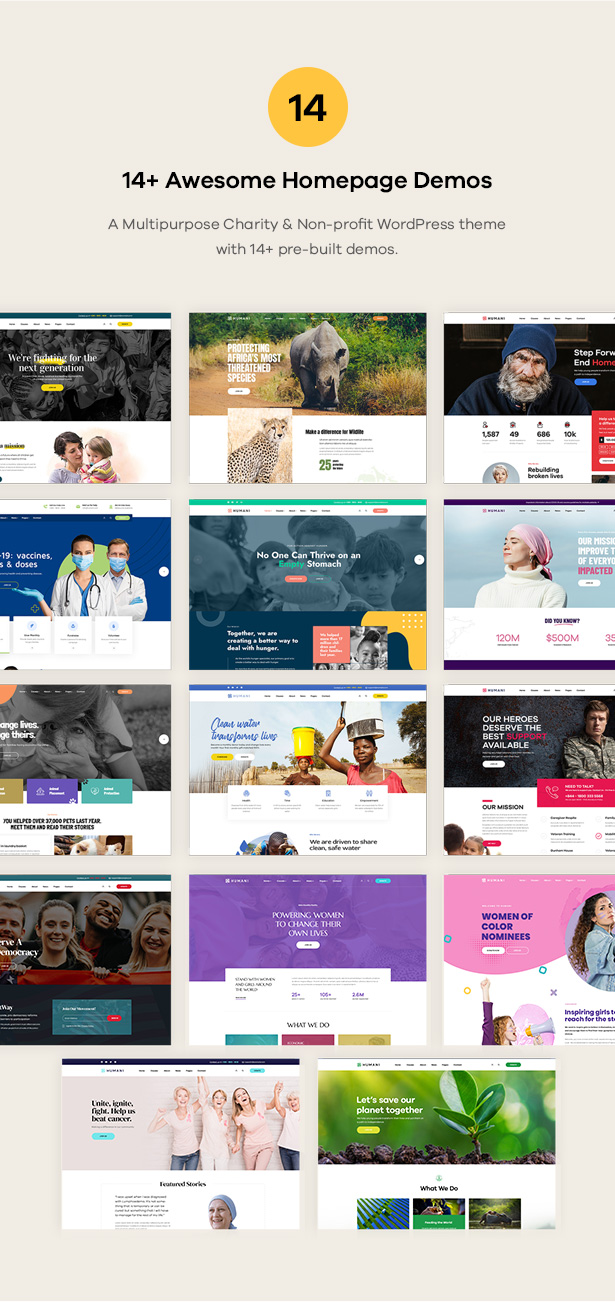 1658726738-2d3585b383e5dc1 1658726738-2d3585b383e5dc1