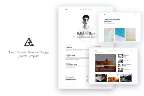 Alex – 投资组合个人博客 Joomla 模板