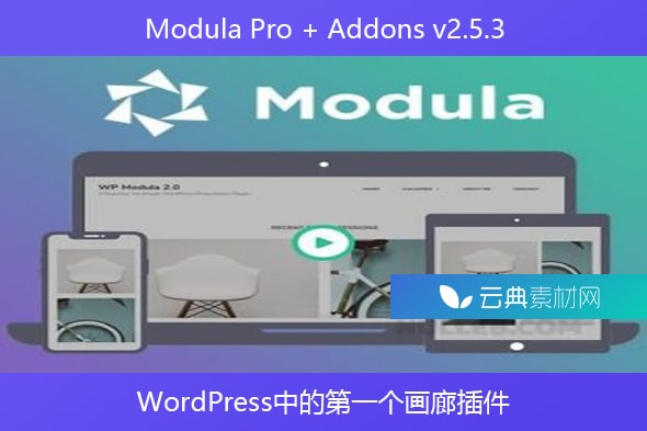 Modula Pro + Addons v2.5.3 – WordPress中的第一个画廊插件