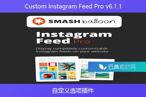 Custom Instagram Feed Pro v6.1.1 – 自定义选项插件