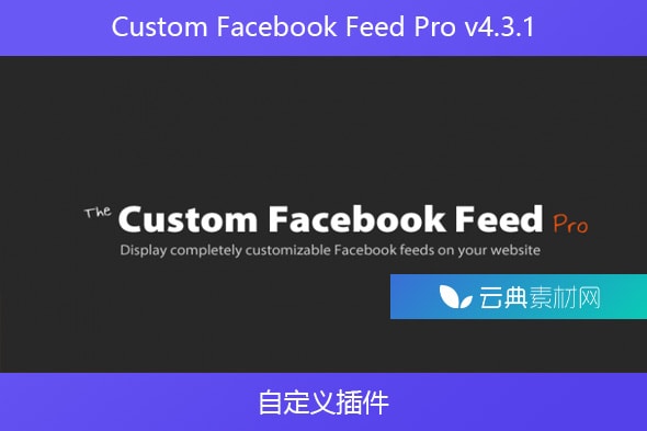 Custom Facebook Feed Pro v4.3.1 – 自定义插件