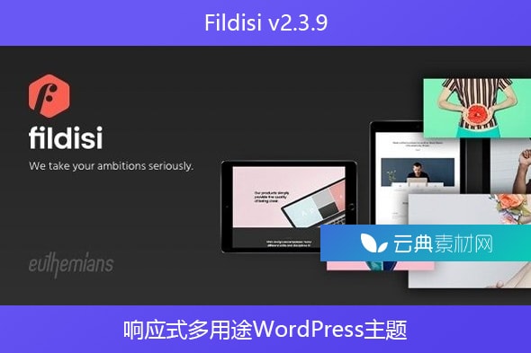 Fildisi v2.3.9 – 响应式多用途WordPress主题