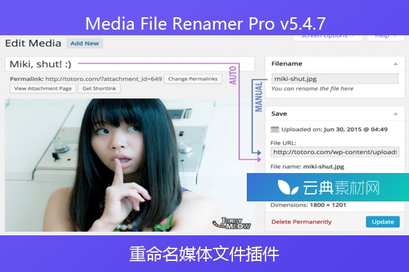 Media File Renamer Pro v5.4.7 – 重命名媒体文件插件