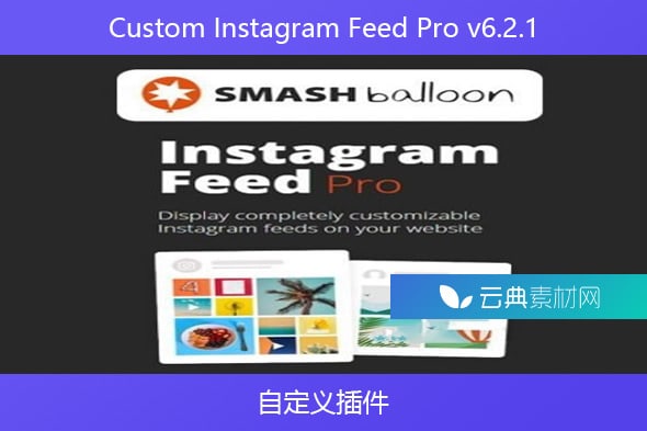 Custom Instagram Feed Pro v6.2.1 – 自定义插件