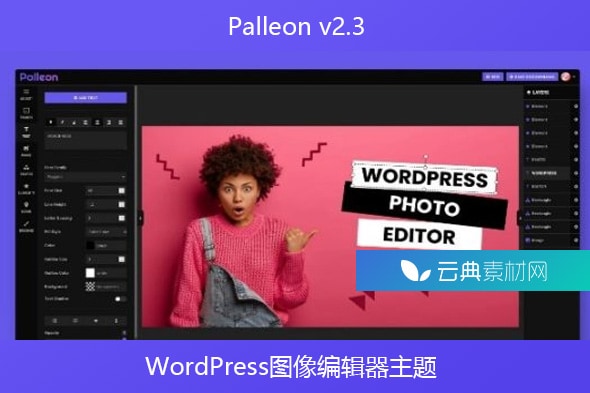 Palleon v2.3 – WordPress图像编辑器主题