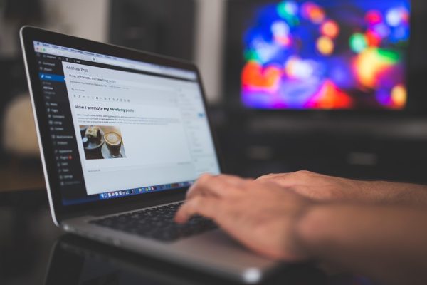如何使用WordPress模板和主题