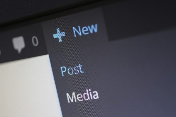 使用WordPress主题创建美观的网站