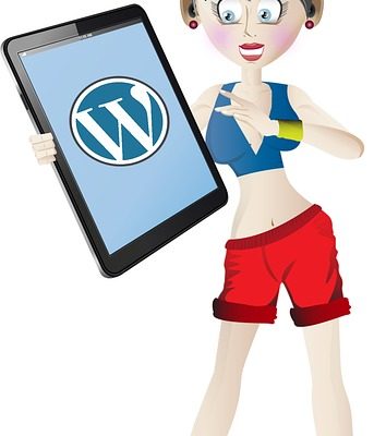 WordPress主题定制：如何让你的网站与众不同