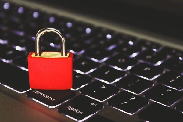 开放式人工智能：Reddit上的Essay Writer