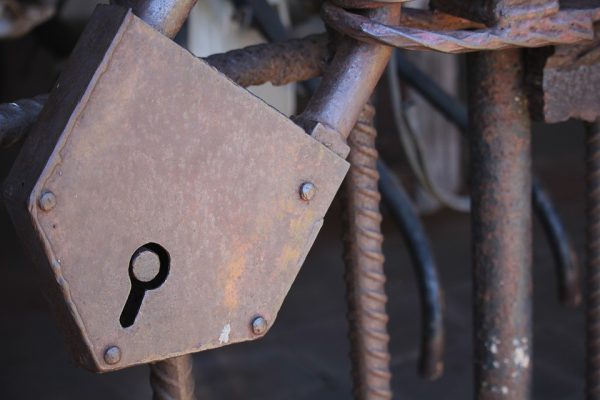 免费AI写作者的实际应用