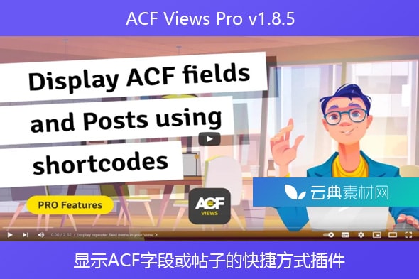 ACF Views Pro v1.8.5 – 显示ACF字段或帖子的快捷方式插件