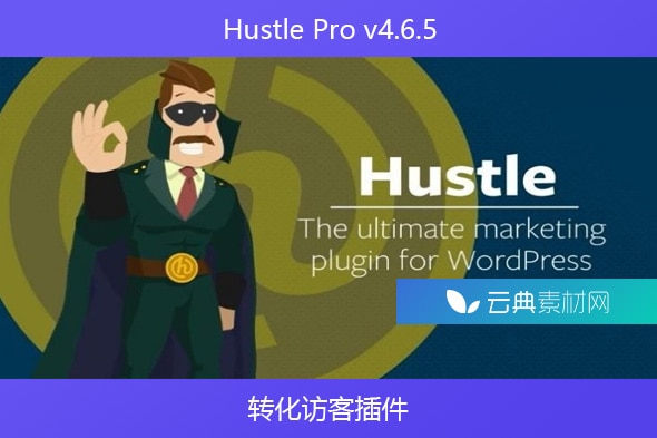 Hustle Pro v4.6.5 – 转化访客插件