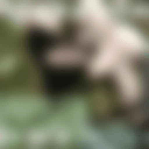 人工智能视频：把智慧带到视频中去