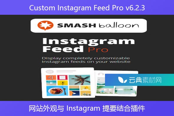 Custom Instagram Feed Pro v6.2.3 – 网站外观与 Instagram 提要结合插件