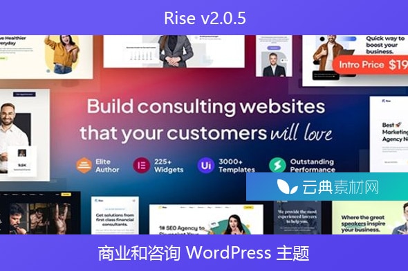Rise v2.0.5 – 商业和咨询 WordPress 主题