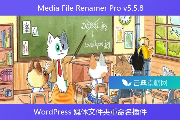 Media File Renamer Pro v5.5.8 – WordPress 媒体文件夹重命名插件