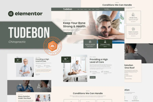 Tudebon – 脊椎按摩疗法和物理疗法 Elementor 模板套件