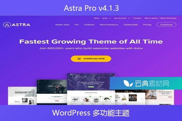 Astra Pro v4.1.3 – WordPress 多功能主题
