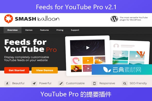Feeds for YouTube Pro v2.1 – YouTube Pro 的提要插件